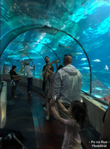 Aquario túnel